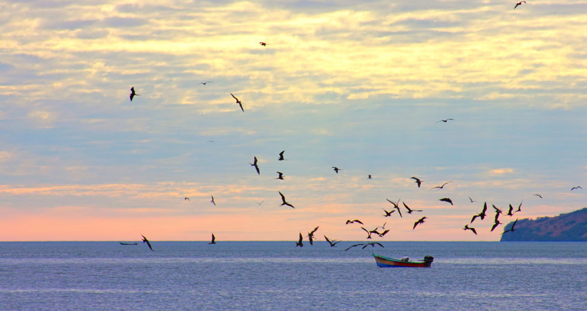Golfo de Fonseca