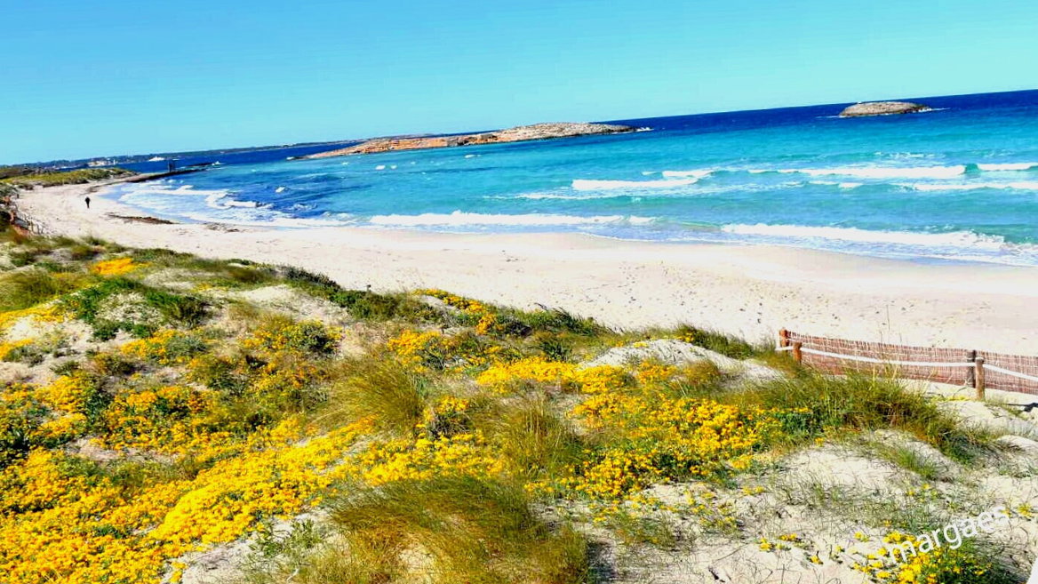 Parece dividir el mar en dos y es sólo uno de los atractivos de Ses Illetes, al norte de Formentera
