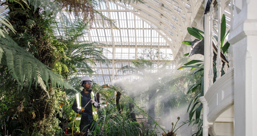 Los Reales Jardines Botánicos de Kew Gardens reunen la mayor variedad de plantas del mundo