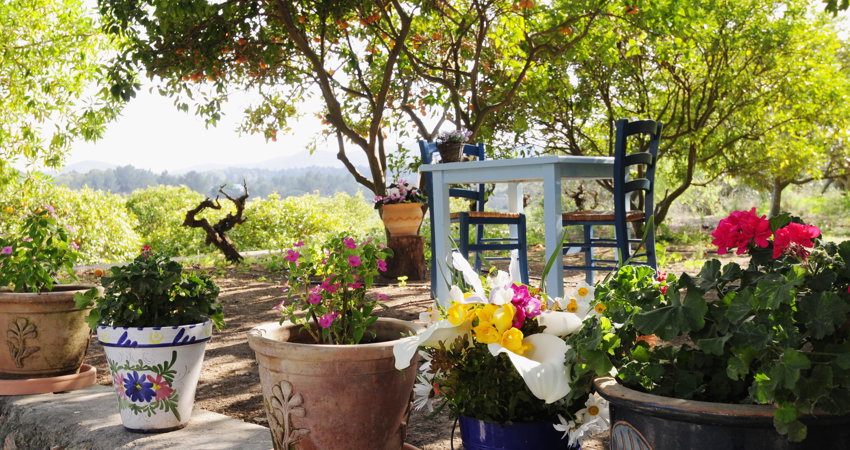 Café La Paloma uses 100% ecological ingredients 