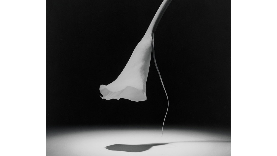La fotografía de Robert Mapplethorpe