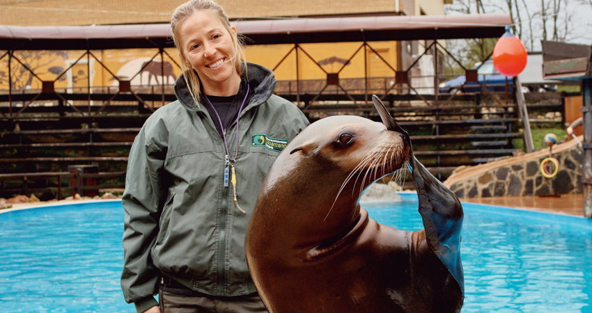 A seal at the Cabárceno Nature Park in Santander