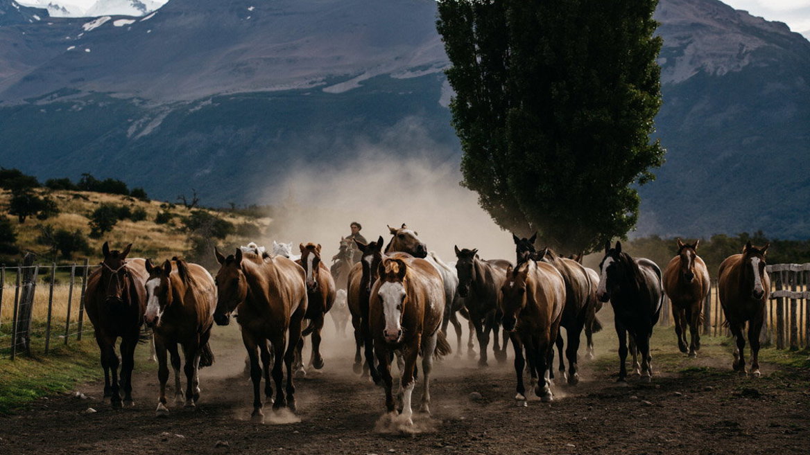 Todavía podemos encontrarnos algunos gauchos en la Patagonia
