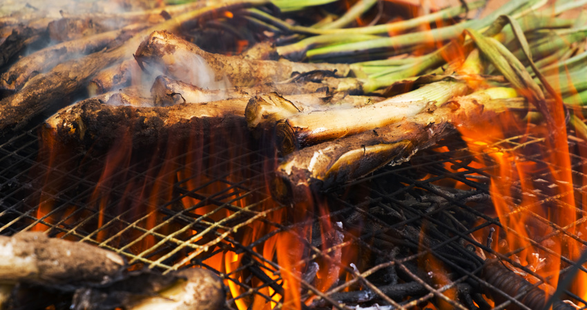 Las calçotadas, un clásico del invierno catalán