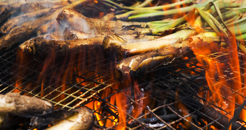 The calçotadas, a classic of the Catalan winter