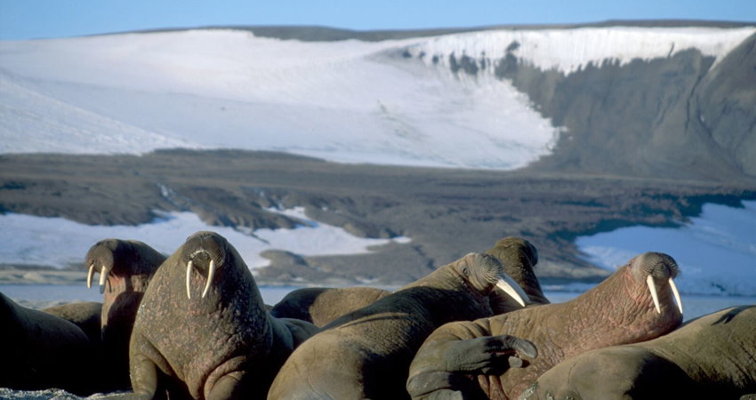 Svalbard, uno de los destinos más sostenibles de Noruega