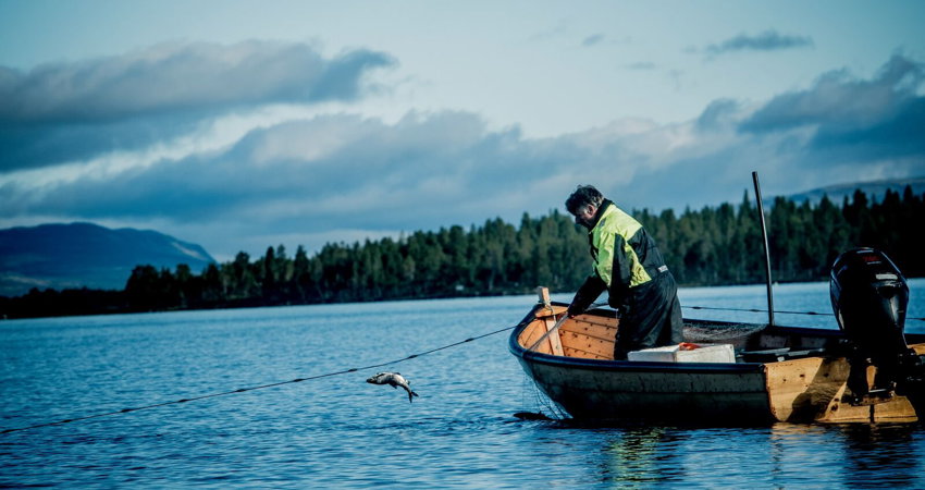 Femund Engerdal: la región de los lagos, destino sostenible en Noruega