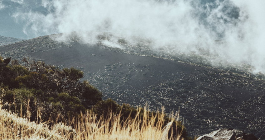 Tenerife es uno de los mejores lugares del mundo para el turismo astronómico con una atmósfera ideal y unos cielos de una gran calidad para la observación como el que se admira desde el Teide.