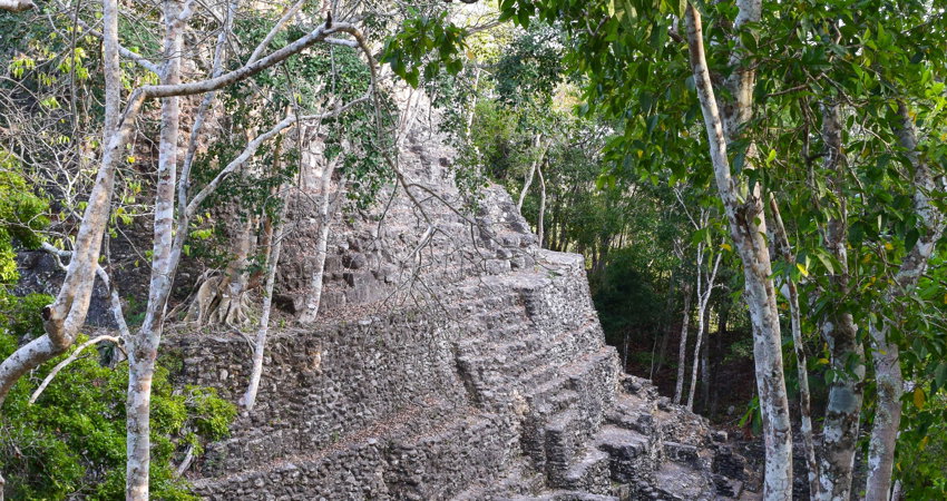 The temple of La Danta is the tallest of the Mayan period, at 72m high.