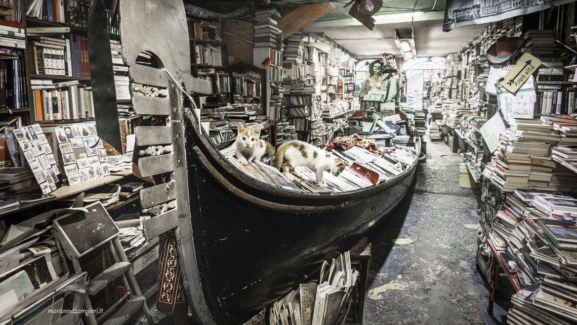 The Acqua Alta bookshop is the most original in all of Venice and possibly the world.