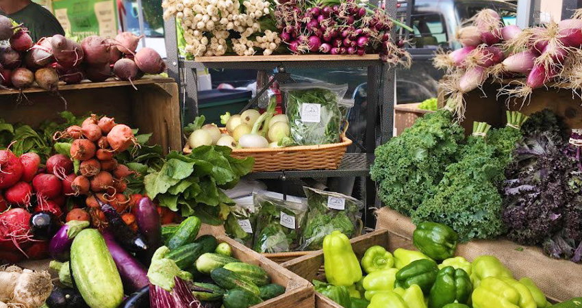 El Union Square Greenmarket, uno de los mejores mercados de productores locales de Nueva York.
