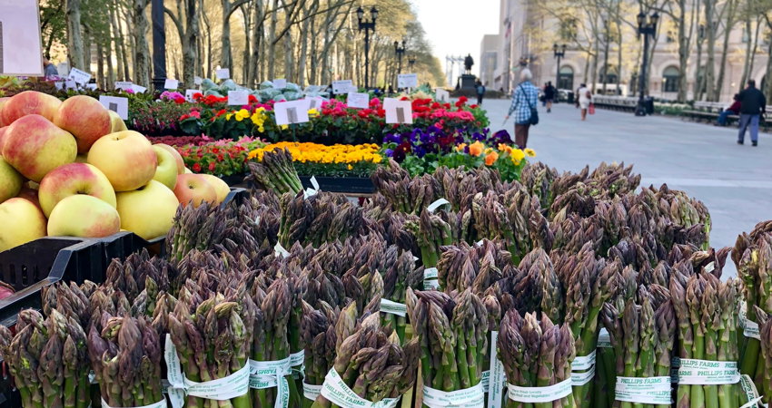 El Brooklyn Borough Hall Greenmarket, que ofrece productos ecológicos y delicias artesanales de granjas familiares locales, es uno de los mejores de Nueva York.