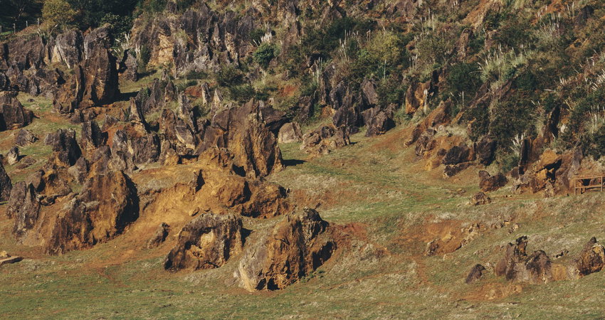 The elephants living in Cabárceno Natural Park, 20km from Santander (Cantabria).
