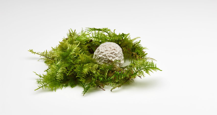 Bocado de recuerdo en Mugaritz