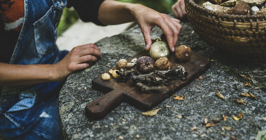 “Del jardín al plato” es la filosofía en la que se basa la cocina eslovena / Imagen de Ciril Jazbec, Tent Film