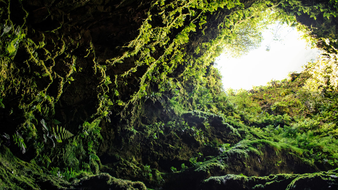 No te pierdas las cuevas de lava como la de Algar do Carvao en tu visita a la isla de Tercerira en Azores.