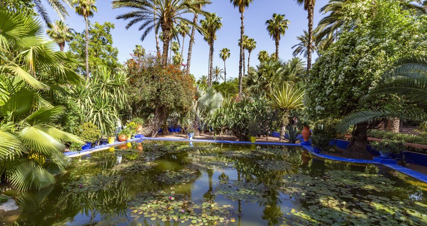Yves Laurent bought and opened the gardens of the painter Jacques Majorelle to the public.