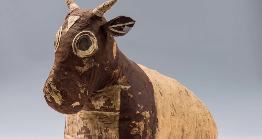 El Museo Egipcio de Turín alberga la colección de antigüedades egipcias más voluminosa después de la de El Cairo.