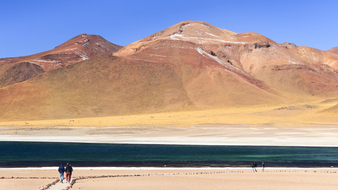 A más de 4.000 metros de altitud, las lagunas Miscanti y Miñiques, conocidas como Lagunas Altiplánicas, son de visita obligada en San Pedro de Atacama.
