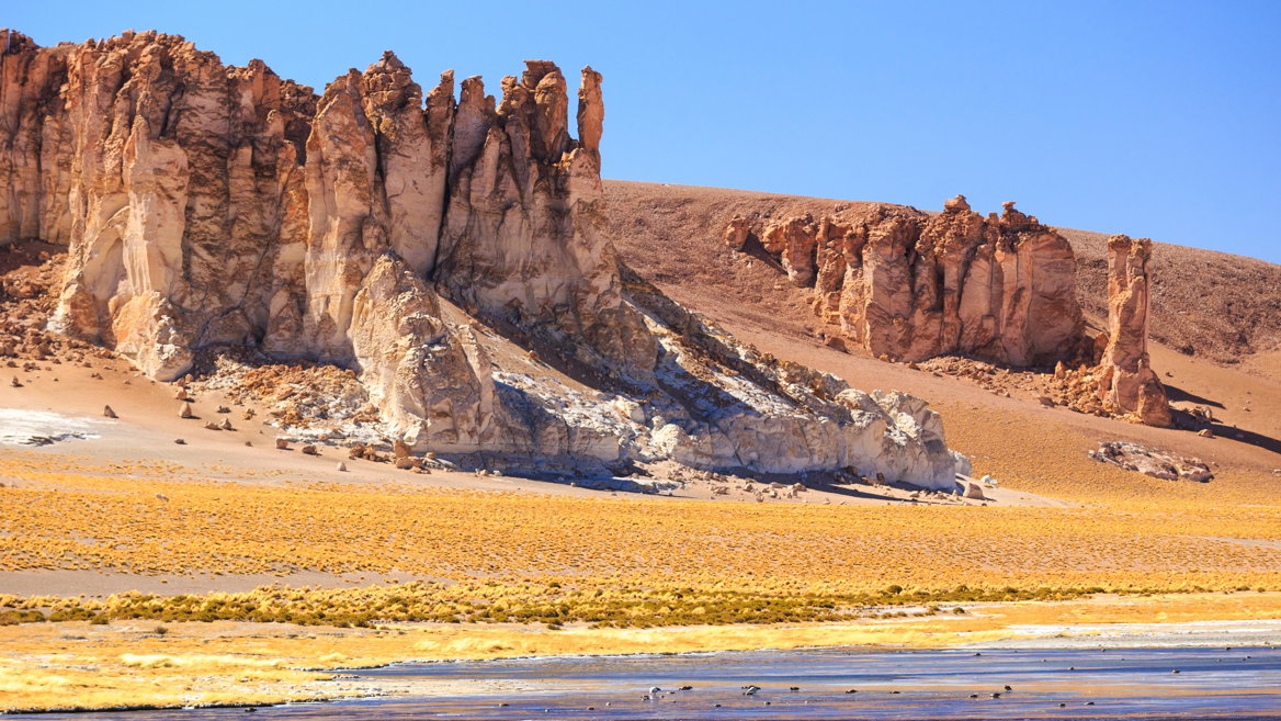 La Reserva Nacional Los Flamencos, dentro del desierto de Atacama, alberga el Salar de Tara con sus paisajes imposibles.