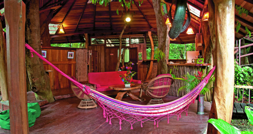 Tree House Lodge en Costa Rica es uno de los mejores hoteles en árboles de Latinoamérica.