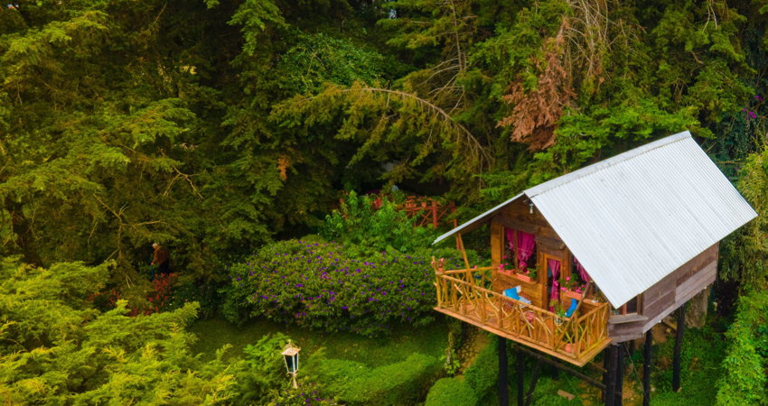 La Casa del Árbol de El Salvador está situada en el corazón de Los Naranjos y es una gran oportunidad para dormir en una casa en un árbol.