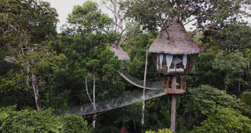El Treehouse Lodge en Perú está en la lista de los nueve mejores hoteles en árboles de 2021 del portal de viajes TripSavvy.