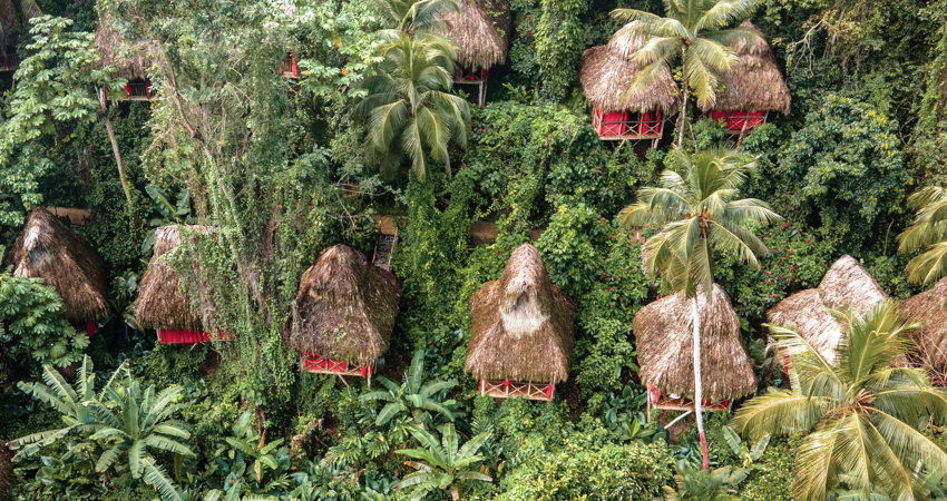 The Dominican Tree House Village in the Dominican Republic is a charming way to fulfil the dream of sleeping in a tree house.