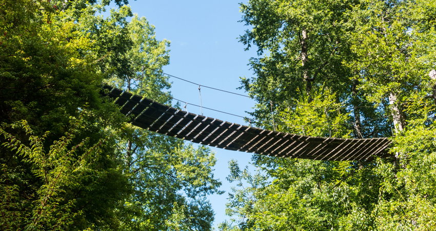 At Canopy Village you can sleep among the trees of the Huilo-Huilo Biological Reserve, in the heart of Chile’s Patagonian jungle.