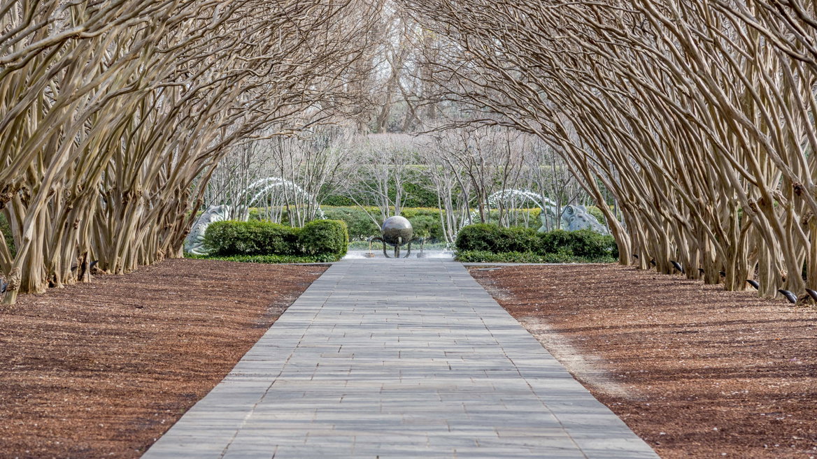El Arboreto y Jardín Botánico es una parada obligatoria en una visita a Dallas.