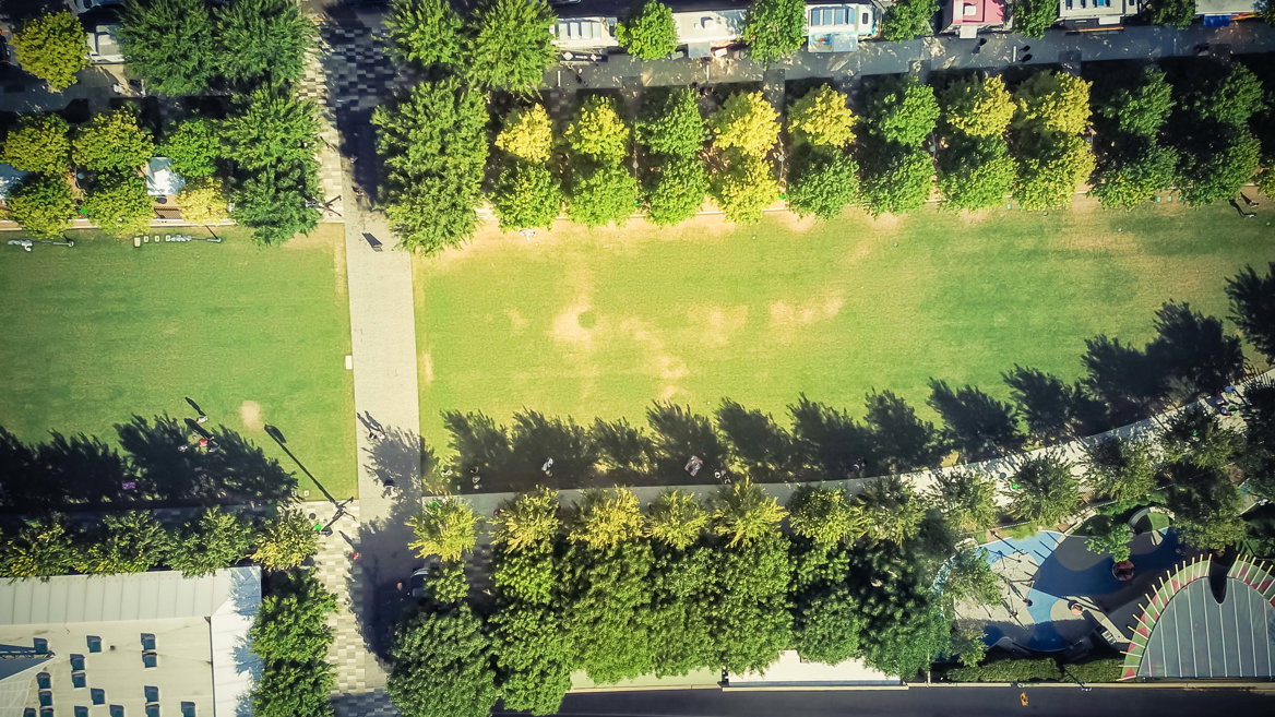 Klyde Warren Park is an ideal place for enjoying activities and a favourite gathering place for Dallas residents.