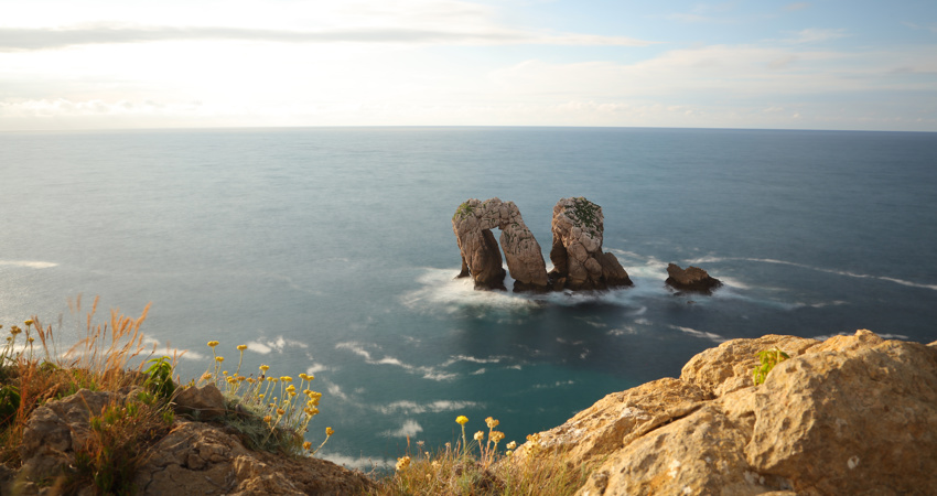 urro del manzano en costa quebrada