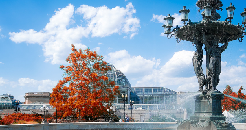 United States Botanic Garden (USBG)