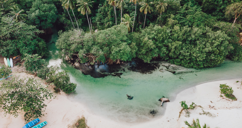 Samaná en República Dominicana
