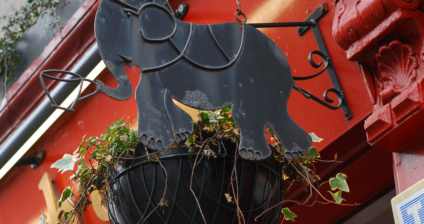 The Elephant House