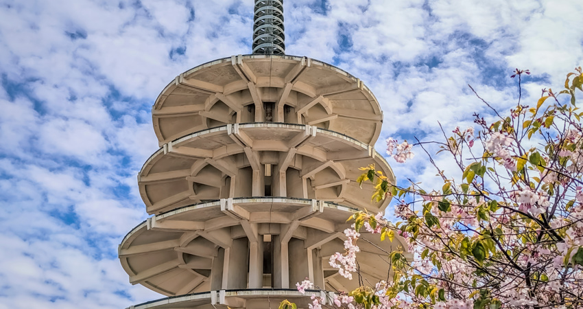 La Pagoda de la Paz con los cerezos en flor