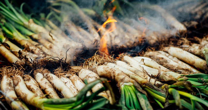 Vista de los calçots sobre la brasa, en pleno cocinado