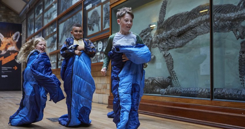 Viaje con niños en Iberia. En la imagen, tres niños participan en una carrera de sacos de dormir en una de las galerías del museo, con unos esqueletos de dinosaurios de fondo