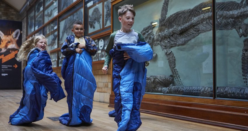 Traveling with children on Iberia. In the photo, three children participate in a sleeping bag race in one of the museum galleries, with dinosaur skeletons in the background.