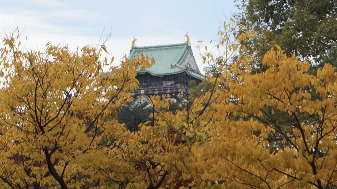 El castillo de Osaka presenta un contraste a las imágenes encarnadas del otoño japonés
