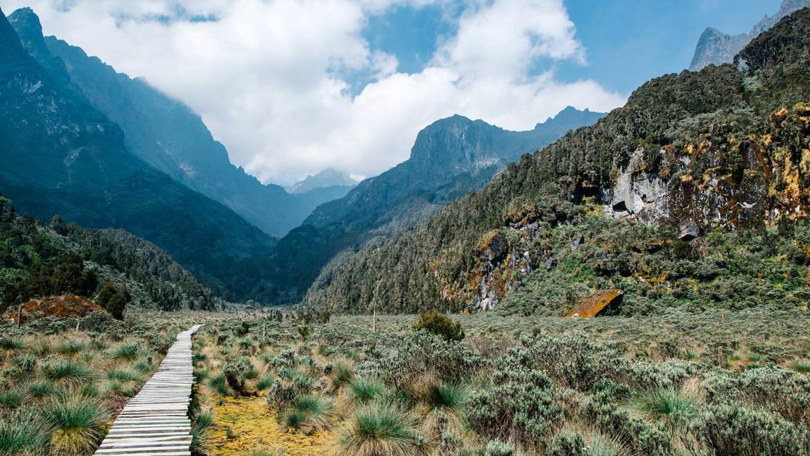 Rwenzori es unas de las pocas cordilleras de África con glaciares 