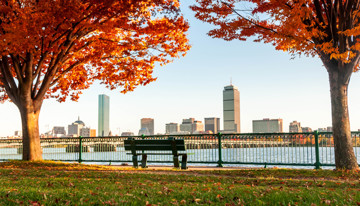Ruta gastronómica por Boston en cinco paradas